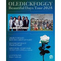 OLEDICKFOGGY